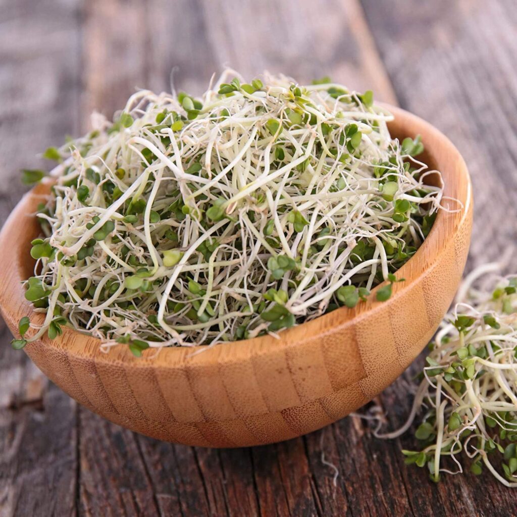 A close-up image of broccoli seeds for for sprouting.