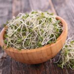 A close-up image of broccoli seeds for for sprouting.